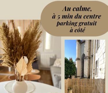 Chinon Apartment | Le Jeanne, appartement en duplex proche forteresse et centre ville