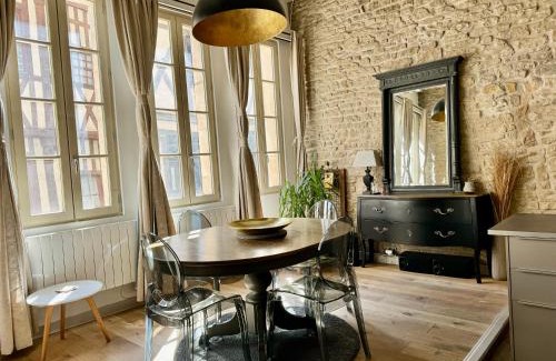 Old Town Apartment | Le Lion des Ducs : centre historique de Dijon
