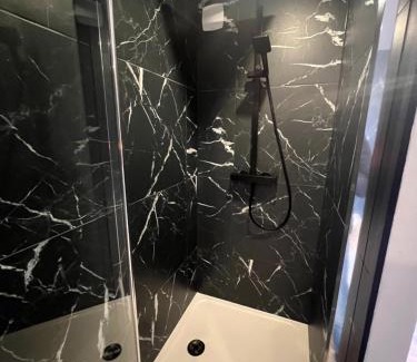Saint Nicolas - Charles III - Ville vieille - Trois Maisons - Leopold Apartment | Le Local DesTiercelins