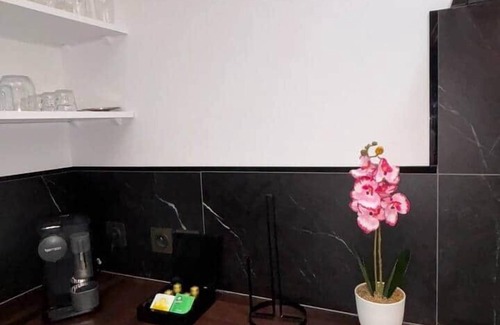 Saint-Brieuc Apartment | Le Loft du Chapitre Nouveau Look en centre ville