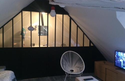 Besancon Old Town Apartment | LE LOFT DU DOUBS