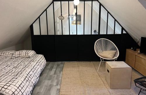 Besancon Old Town Apartment | LE LOFT DU DOUBS