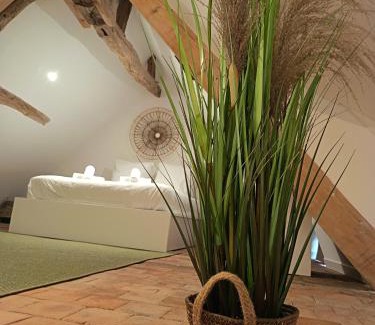 Cande-sur-Beuvron House | Le logis de Diane