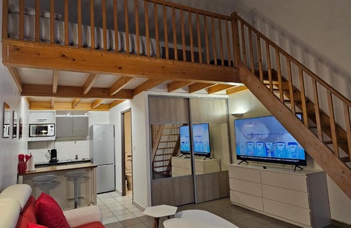 Saint-Symphorien-d'Ozon Apartment | Le Louvre