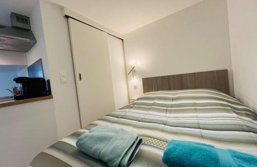 Saint-Serge Apartment | Le Lys Bleu