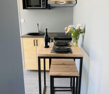 Saint-Bauzille-de-la-Sylve Apartment | « Le Magnolia » charmant gîte avec terrasse