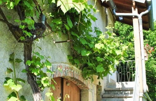 Reyrevignes House | Le Mas de Vals - REYREVIGNES