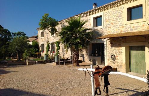 Saint-Laurent-d'Aigouze Bed & Breakfast | Le Mas Des Brunes