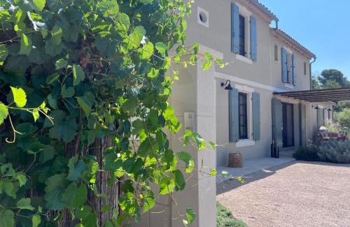 Fontvieille Villa | Le Mazet d'Ernestine - Piscine et Cheminée