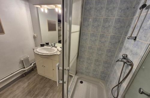 Centre Ville Apartment | Le Mirabelle - Balcony - Pyrenees View - Expo Fair