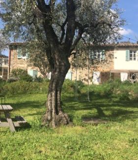 Massa e Cozzile Bed & Breakfast | Le Molina B&B