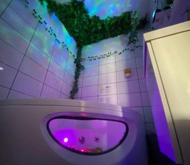 L'Arbresle Apartment | Le monde D avatar avec Balneo et table de massage