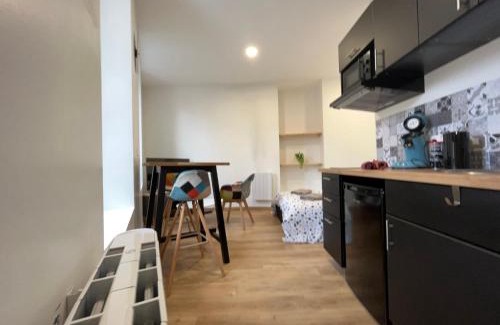 Royat Apartment | Le Montgy - Studio tout confort à Royat National N1