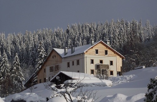 La Bresse Apartment | LE MOULIN - Apartment in a renovated farmhouse