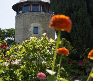 Margaux House | Le Moulin de Margaux