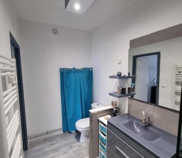 Chinon Apartment | Le murier ensoleillé