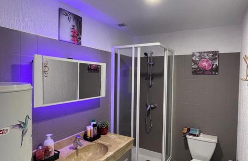 Joigny Apartment | Le Mustang Internet Fibre Netflix