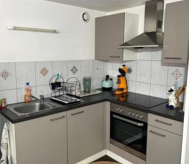 Horbourg-Wihr Apartment | Le Nid Alsacien - Appartement cosy & lumineux à 10min de Colmar