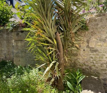 Saint-Jean Eudes Saint-Gilles Apartment | Le Nid d Abbaye