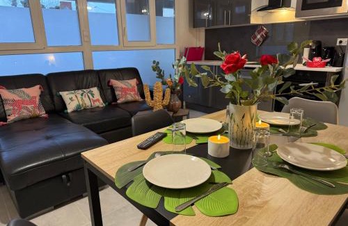 Vierzon Apartment | Le Nid d'Ange