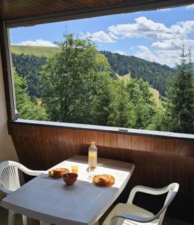 Laveissiere Apartment | Le Nid des Cimes