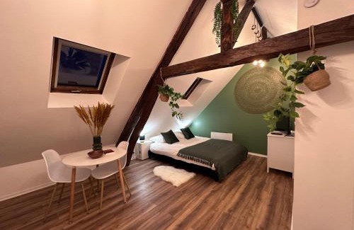 Beauvais Apartment | Le Nid Douillet - Hypercentre - Studio