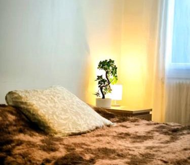 Sud Apartment | Le nid provençal
