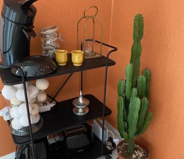 Centre Sud Apartment | Le NID - Studio Place Emile Zola/parking gratuit