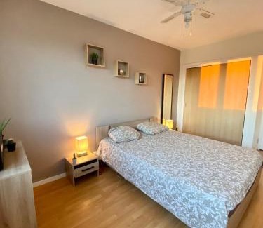 Decines-Charpieu Apartment | Le paisible