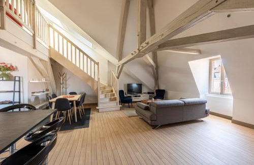 Dijon Centre Ville Apartment | Le Palais