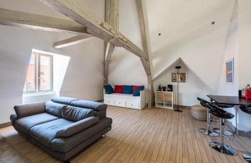 Dijon Centre Ville Apartment | Le Palais