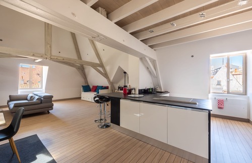 Dijon Centre Ville Apartment | Le Palais, right in the heart of Dijon!