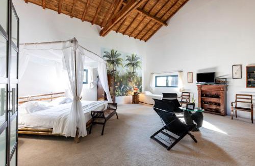Bazas Bed & Breakfast | Le Palmier Exotique