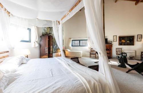 Bazas Bed & Breakfast | Le Palmier Exotique