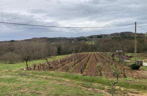 Castelnaud-la-Chapelle House | Le Palmier