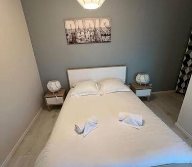 Bourgoin-Jallieu Apartment | Le Paris Eiffel - Appartement Cosy en plein centre