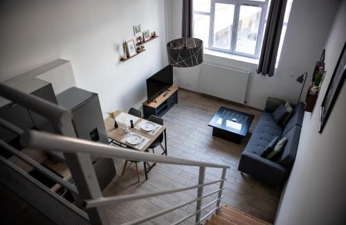 Terrenoire Apartment | Le Passementier, T2 duplex grand volume parking souterrain wifi Netflix