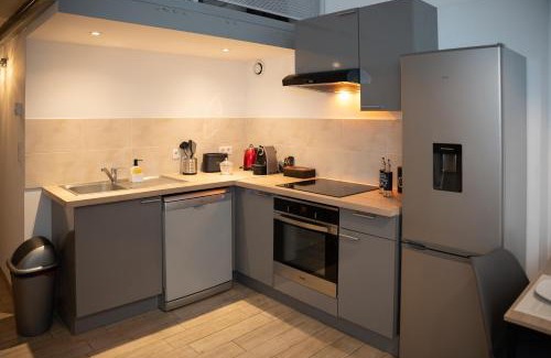Terrenoire Apartment | Le Passementier, T2 duplex grand volume parking souterrain wifi Netflix
