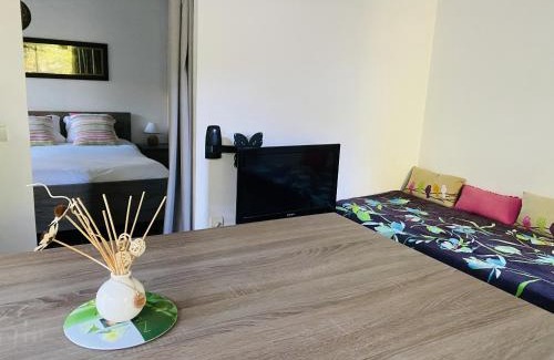 La Crau House | Le Patio Bleu