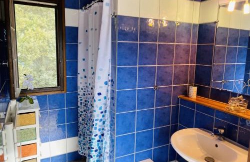 La Crau House | Le Patio Bleu
