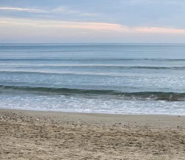 La Tamarissiere Apartment | LE PECHE MIGNON - Appart 1 - locationlatamarissiere