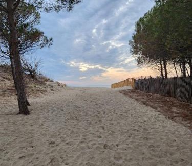 La Tamarissiere Apartment | LE PECHE MIGNON - Appart 1 - locationlatamarissiere