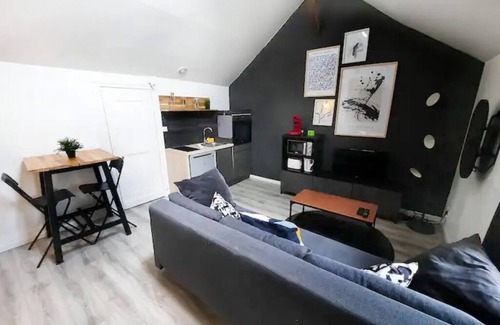 Faubourg North Apartment | Le Perdrix : Apt 2 prs, close to the station and Darcy
