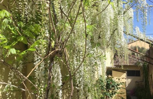 Brignoles Apartment | Le petit 45 sous les platanes