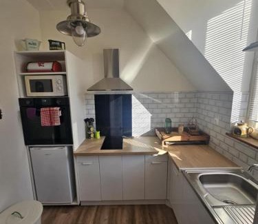 Sully-sur-Loire Apartment | Le petit carrousel