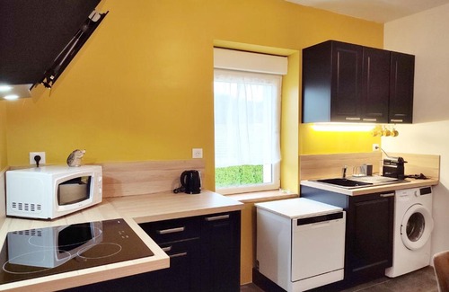Saint-Maurice-sur-Moselle Apartment | Le petit Fremis/5 Kms des pistes/axe Nancy-Thann