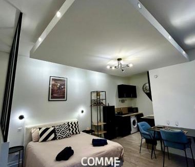 Nancy City Centre Apartment | Le petit Godron