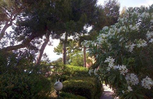 Saint-Mandrier-sur-Mer Apartment | Le petit havre de mer