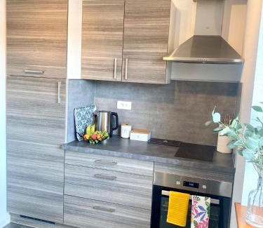 Ingersheim Apartment | Le Petit Letzenberg