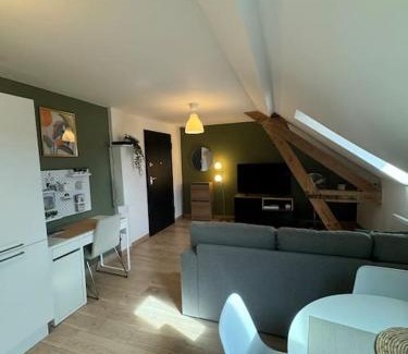Saint Joseph/Mittelharth Apartment | Le Petit Nid de Colmar - Parking privé